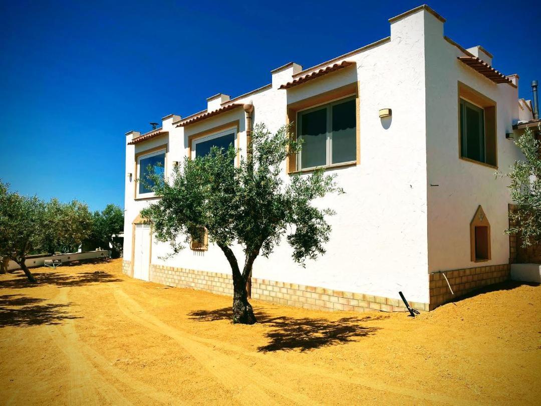 Villa Immersa In Oliveto Vista Mare Sciacca Εξωτερικό φωτογραφία