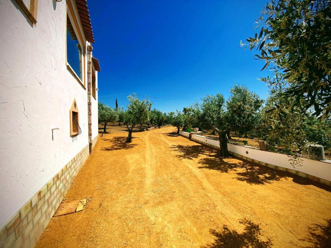 Villa Immersa In Oliveto Vista Mare Sciacca Εξωτερικό φωτογραφία