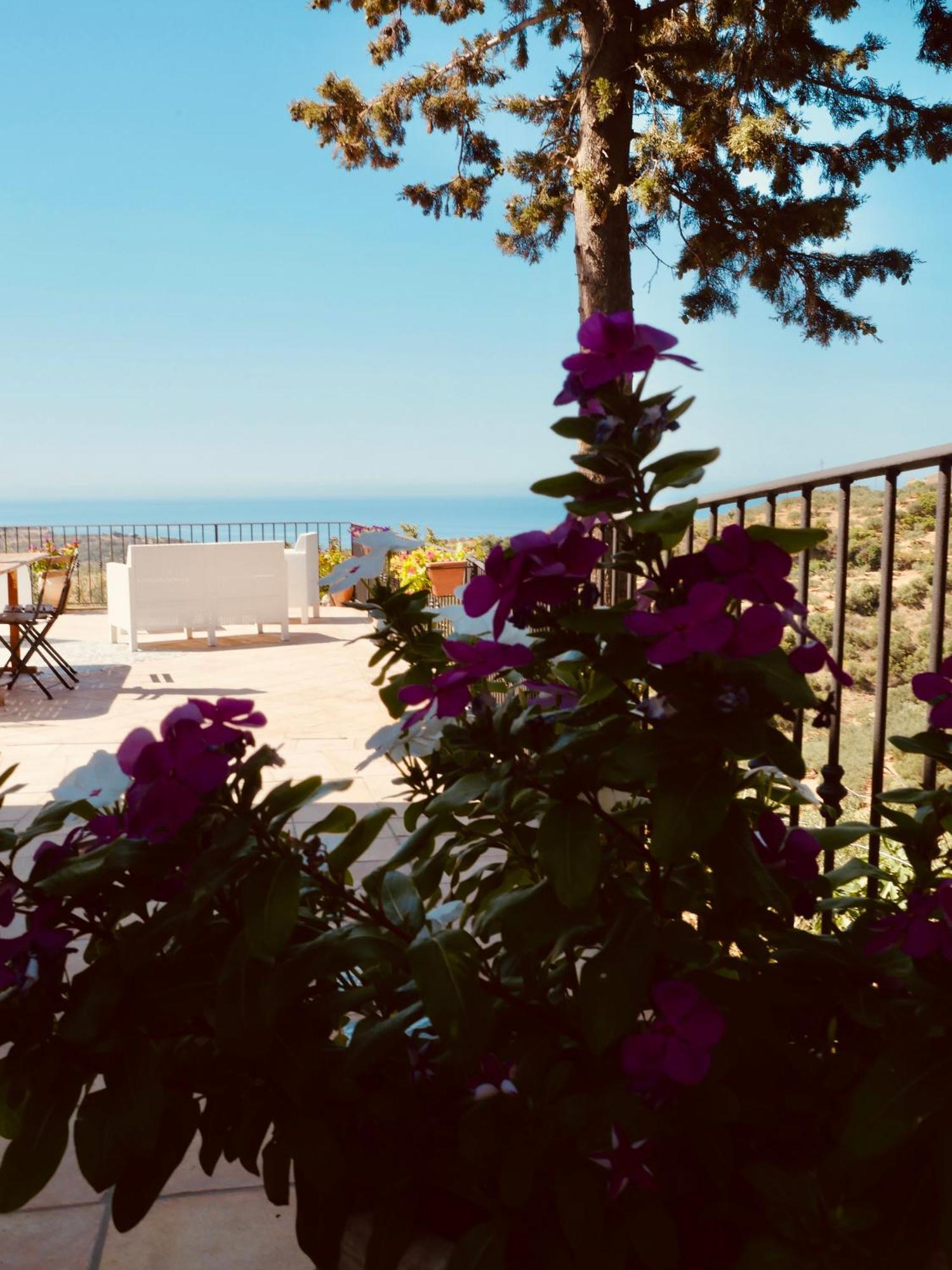 Villa Immersa In Oliveto Vista Mare Sciacca Εξωτερικό φωτογραφία