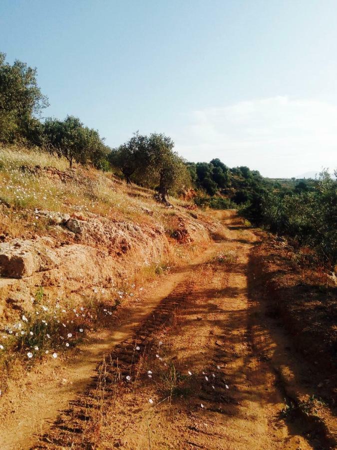 Villa Immersa In Oliveto Vista Mare Sciacca Εξωτερικό φωτογραφία