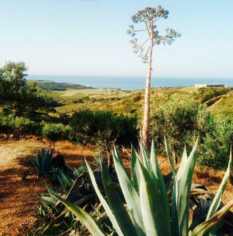 Villa Immersa In Oliveto Vista Mare Sciacca Εξωτερικό φωτογραφία