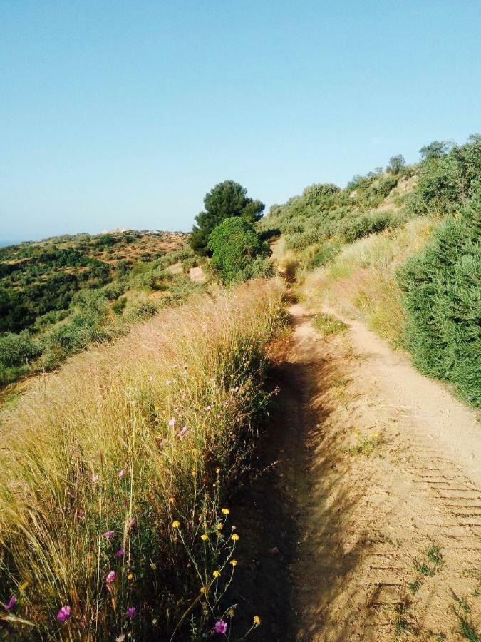 Villa Immersa In Oliveto Vista Mare Sciacca Εξωτερικό φωτογραφία